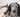 When Mats Cause More Than a Mess: Aural Hematomas in Dogs