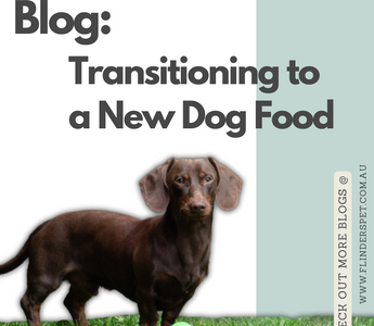 Transitioning to a New Dog Food