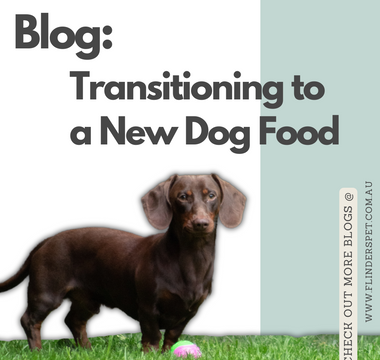 Transitioning to a New Dog Food