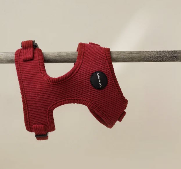 Harness - Corduroy Red
