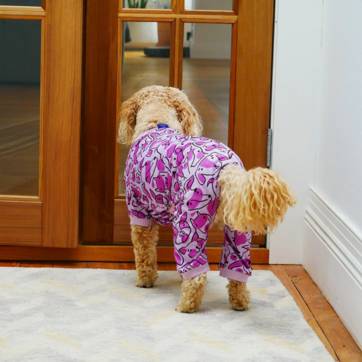 Your Pup - Pyjamas
