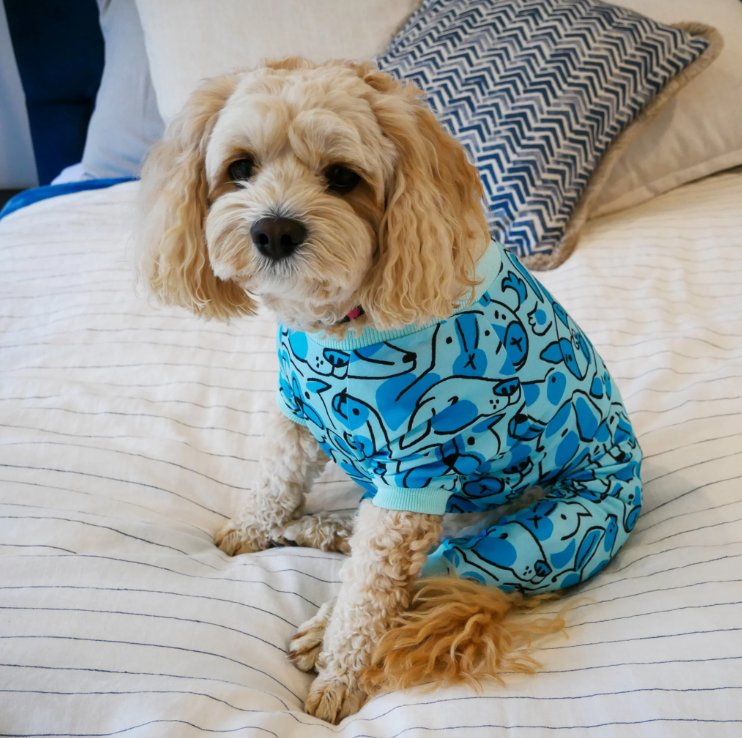 Your Pup - Pyjamas