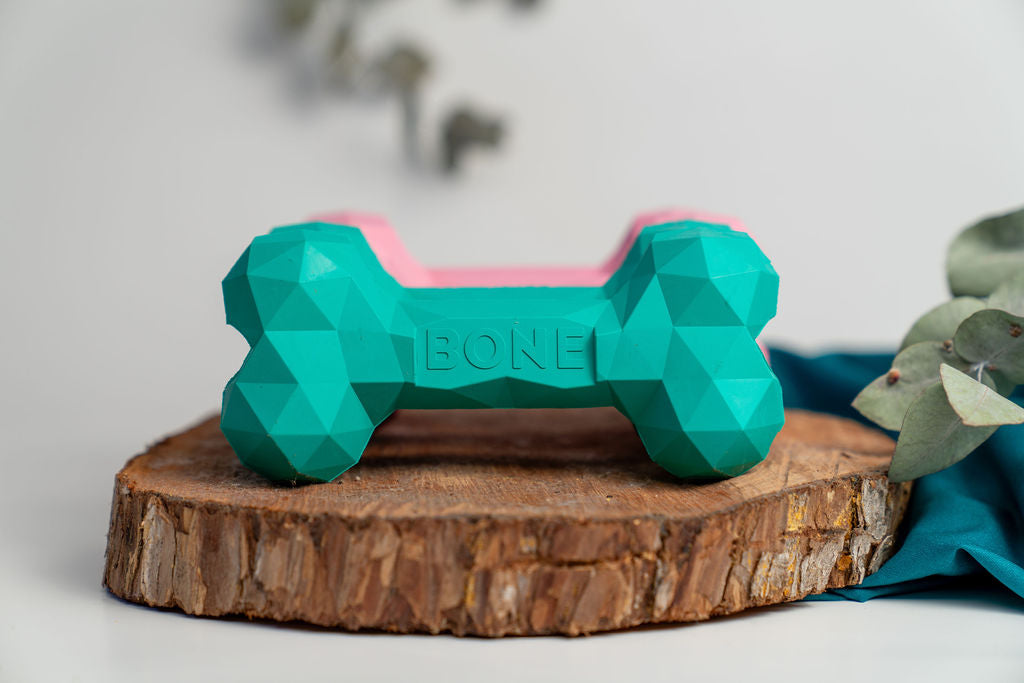 Bone Chew and Treat Toy - Large size