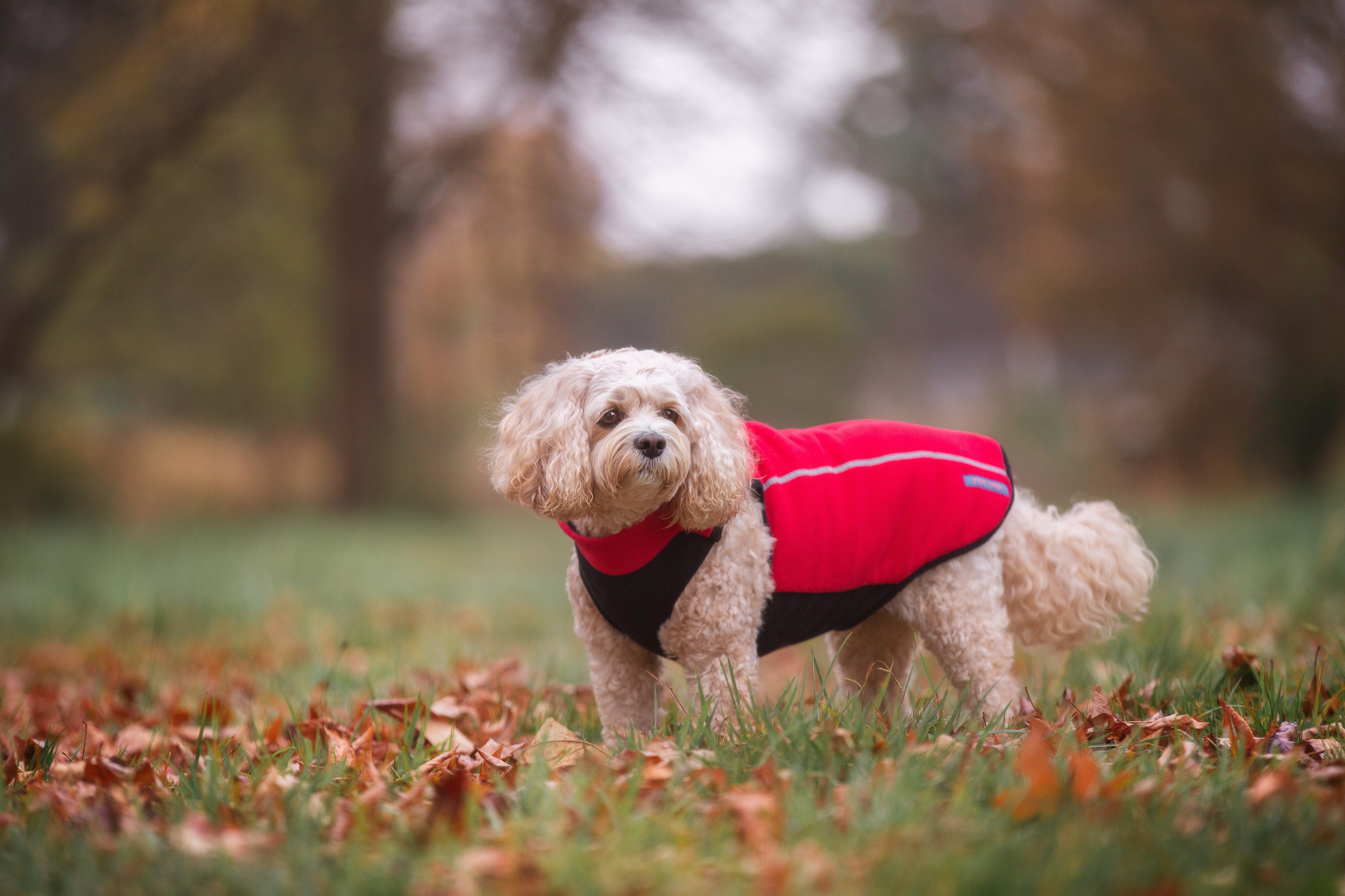 Your Pup - Fleece Dog Coat - Red (Heavy Warmth)