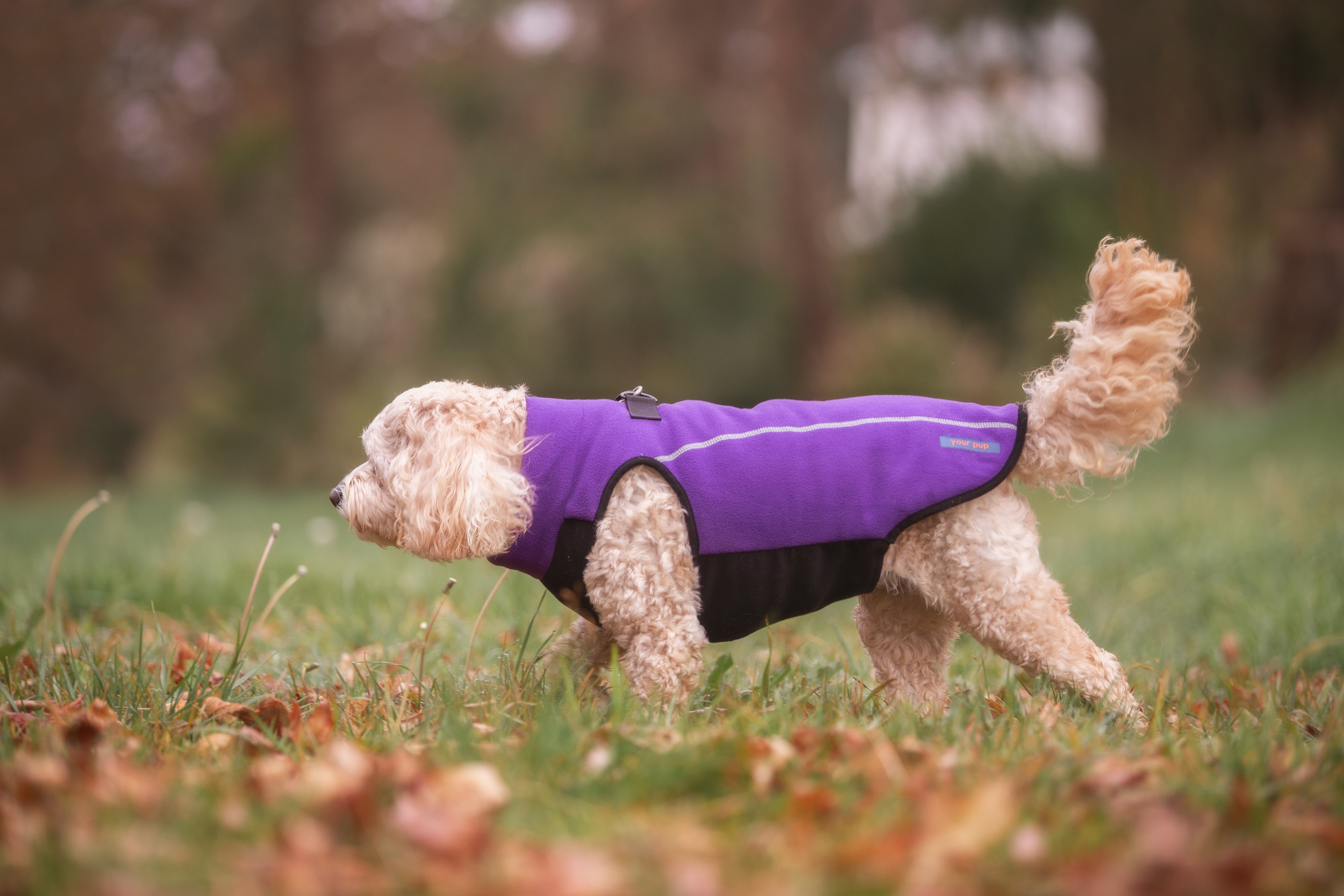 Your Pup - Fleece Dog Coat - Purple (medium weight)